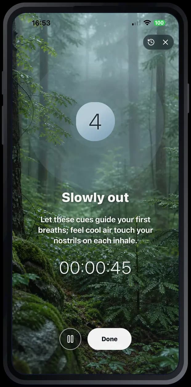 Paced breathing session with a forest soundscape and session timer